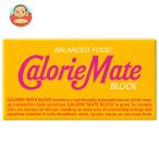 ショッピングカロリーメイト 大塚製薬 カロリーメイト ブロック メープル味 1箱(2本入)×60箱入｜ 送料別
