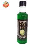 中村商店 キャプテン 大人のメロンソーダのもと 200ml瓶×12本入｜ 送料別