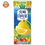 カゴメ 野菜生活100 宮崎月夜実グレープフルーツ&日向夏ミックス 195ml紙パック×24本入｜ 送料別