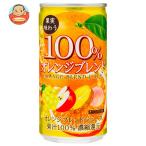 サンガリア 果実味わう100% オレンジ