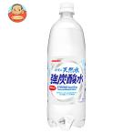 ショッピング炭酸 サンガリア 伊賀の天然水 強炭酸水 1Lペットボトル×12本入