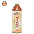 日本薬剤 グァバ茶 500mlペットボト