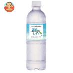 霧島シリカ水源 霧島のしずく 500mlペットボトル×24本入｜ 送料別