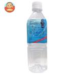 ショッピングシリカ水 天然シリカ水 さひめの泉 500mlペットボトル×24本入｜ 送料別