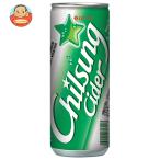 五星コーポレーション ロッテ チルソンサイダー 250ml缶×30本入｜ 送料別