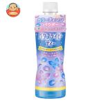 伊藤園 バタフライピーティー 500mペットボトル×24本入| 送料別
