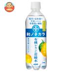 ダイドー 和ノチカラ 有機レモン使用炭酸水 500mlペットボトル×24本入| 送料別