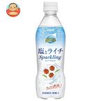 ダイドー ミスティオ 塩とライチスパークリング 410mlペットボトル×24本入| 送料別