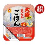 東洋水産 あったかごはん 大盛 250g×20(10×2)個入×(2ケース)｜ 送料無料