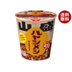 日清食品 日清 ハヤシメシ デミグラ