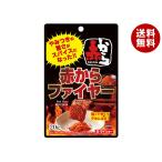 ダイショー 赤から監修 赤からファイヤー 20g×40袋入｜ 送料無料