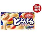 【送料無料】エスビー食品 S&B とろけるシチュークリ−ム 160g×10個入