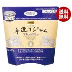 ショッピングブルーベリー カンピー ザ プレミアム 手造りジャム ブルーベリー つめかえ用 500g×6袋入｜ 送料無料