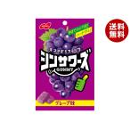 ノーベル製菓 シンサワーズグミ グレープ味 50g×6個入｜ 送料無料