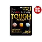 カバヤ タフグミ 100g×6袋入｜ 送料
