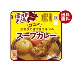 ショッピング玉ねぎ 富良野 ゴロッと玉ねぎと骨付きチキンのスープカレー 260g×36袋入｜ 送料無料 レトルト カレー チキンカレー