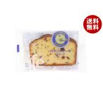 montowa-ru Cafe бисквитный торт фрукты 1 шт ×6 пакет входить ×(2 кейс )l бесплатная доставка 