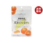 JA全農 ニッポンエール 愛媛県産紅まどんな グミ 40g×10袋入×(2ケース)｜ 送料無料