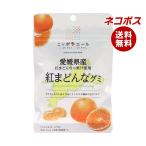 【全国送料無料】【ネコポス】JA全農 ニッポンエール 愛媛県産紅まどんな グミ 40g×10袋入