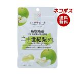 ネコポス JA全農 ニッポンエール 鳥取県産二十世紀梨 グミ 40g×10袋入｜ 全国送料無料