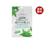 JA全農 ニッポンエール 北海道産和