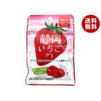 カネカ食品 静岡いちごグミ ラブレ