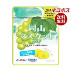  кошка po ska neka еда Okayama мускат g Mira пятно . кислота . входить 40g×10 пакет входить l бесплатная доставка по всей стране 