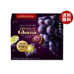 ロッテ プレミアムガーナ フルーツショコ