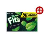  Lotte Fit*s оригинал мята 12 листов ×10 штук l бесплатная доставка 