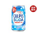 アサヒ飲料 カルピスソーダ 350ml缶×24本入×(2ケース)｜ 送料無料