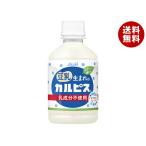 ショッピングカルピス アサヒ飲料 豆乳生まれのカルピス 280mlペットボトル×24本入｜ 送料無料