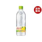コカコーラ い・ろ・は・す(いろはす) れもんプラス 540mlペットボトル×24本入×(2ケース)｜ 送料無料