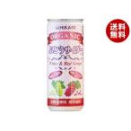ショッピング光 光食品 オーガニック ぶどうサイダー+レモン 250ml缶×30本入×(2ケース)｜ 送料無料
