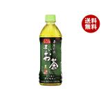 お茶 ペットボトル 500ml 送料無料-商品画像