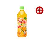 サンガリア つぶつぶオレンジ 500mlペットボトル×24本入×(2ケース)｜ 送料無料