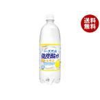 サンガリア 伊賀の天然水 強炭酸水 レモン 1Lペットボトル×12本入×(2ケース)｜ 送料無料