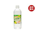 サンガリア 伊賀の天然水 マスカットスパークリング 500mlペットボトル×24本入×(2ケース)｜ 送料無料 マスカット ぶどう ブドウ 炭酸 炭酸水