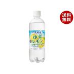 サンガリア 伊賀の天