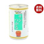 長野興農 信州 サンつがる りんごジ