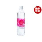 【賞味期限2026.02.23かそれ以降】オンガネジャパン シリカシリカスパークリング 500mlペットボトル×24本入×(2ケース)｜ 送料無料 爆買