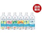 井村屋 めぐるる 500mlペットボトル×24本入｜ 送料無料 ミネラルウォーター 水 PET