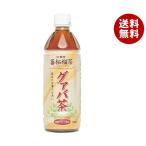 日本薬剤 グァバ茶 500mlペットボト