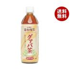 廣貫堂 グァバ茶 500mlペットボトル×