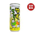 北川村ゆず王国 ゆずサイダー 250ml缶×30本入｜ 送料無料 炭酸 柑橘 はちみつ