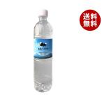 霧島シリカ水源 霧島シリカ天然水 500mlペットボトル×24本入｜ 送料無料 ミネラルウォーター 水 PET