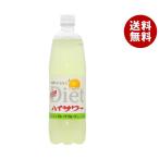 ショッピング炭酸 博水社 ダイエットハイサワー グレープフルーツ 1000mlペットボトル×15本入×(2ケース)｜ 送料無料 炭酸飲料 割り材 PET 果汁