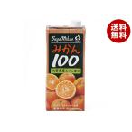 JAビバレッジ佐賀 みかん100 1L紙パック×6本入｜ 送料無料