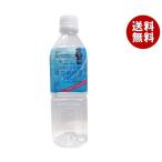 天然シリカ水 さひめの泉 500mlペットボトル×24本入×(2ケース)｜ 送料無料 ミネラルウォーター 水 PET 鉱水 軟水