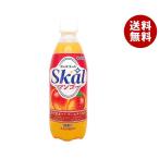 ショッピングマンゴー 南日本酪農協同 スコール マンゴー 500mlぺットボトル×24本入×(2ケース)｜ 送料無料