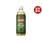 アサヒ飲料 ウィルキンソン ドライジンジャエール 500mlペットボトル×24本入×(2ケース)｜ 送料無料